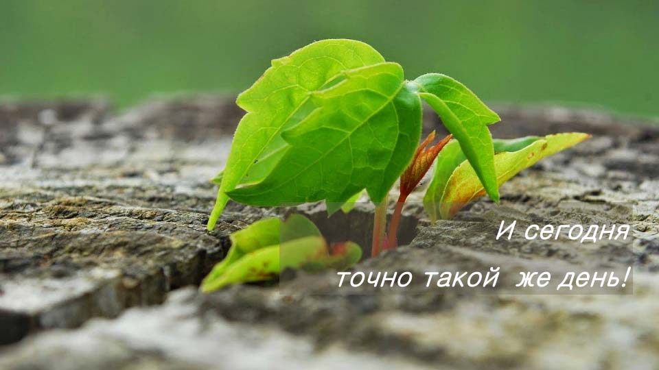 О стратегии проСТО. Аналитика на win-sto.ru